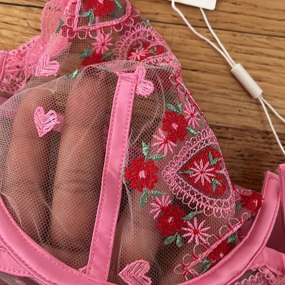For love & Lemons Whimsical Garden Underwire Bra collaboration w Victoria Secret - Picture 11 of 11